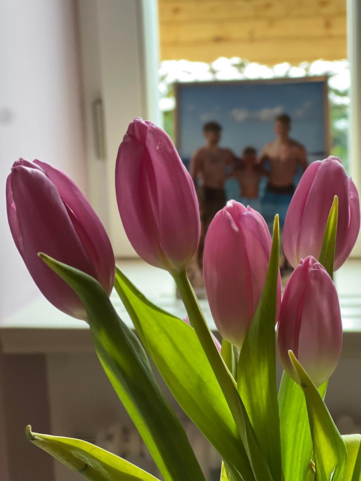 Vila Alice Bled - Adults Only Buitenkant foto