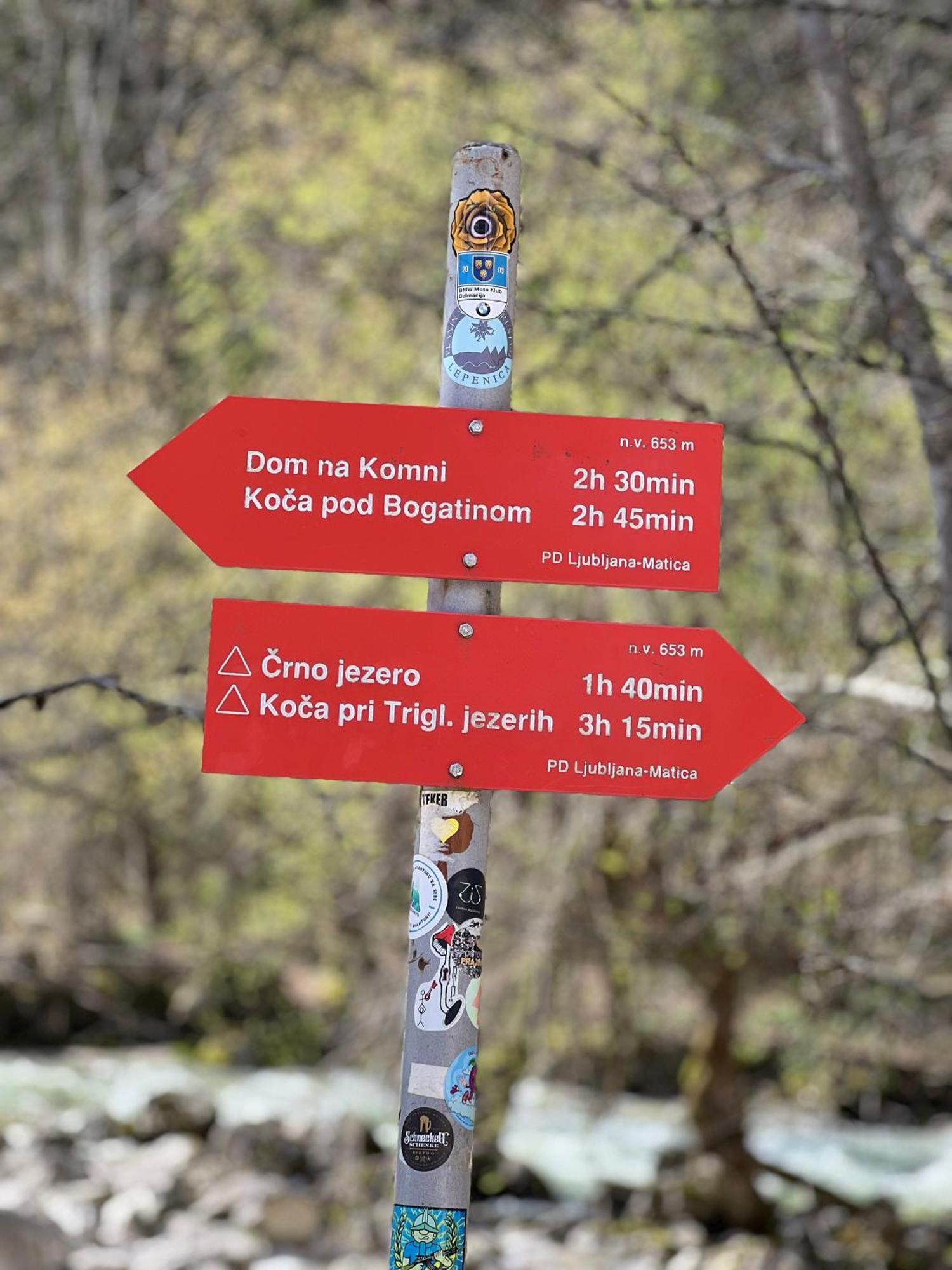 Vila Alice Bled - Adults Only Buitenkant foto